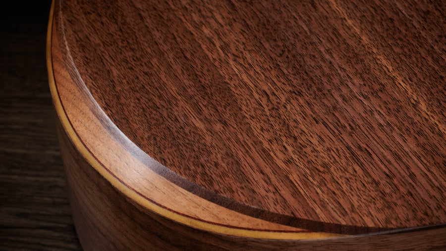 Jacob Collier - JCSM Academy 22e 5-String