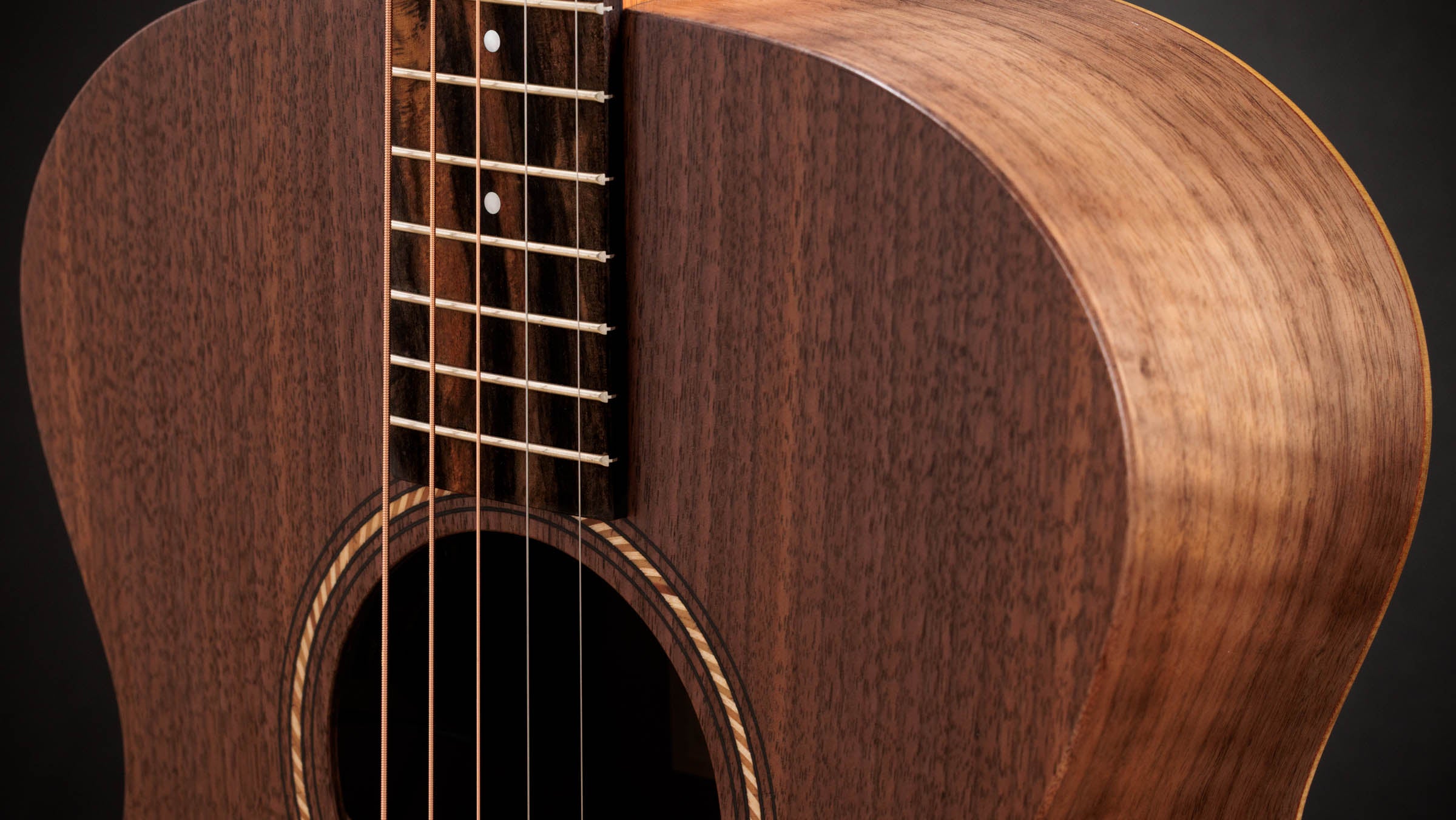 Jacob Collier - JCSM Academy 22e 5-String