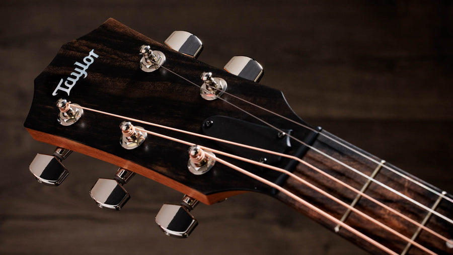 Jacob Collier - JCSM Academy 22e 5-String