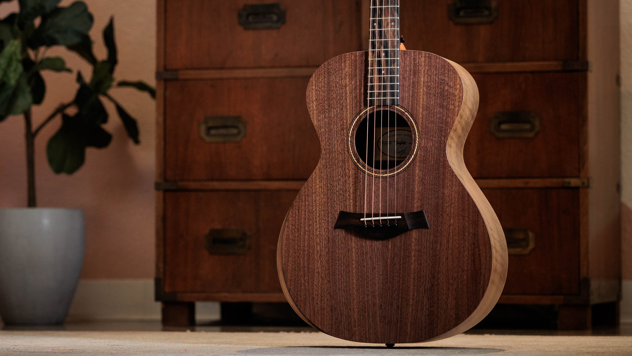 Jacob Collier - JCSM Academy 22e 5-String