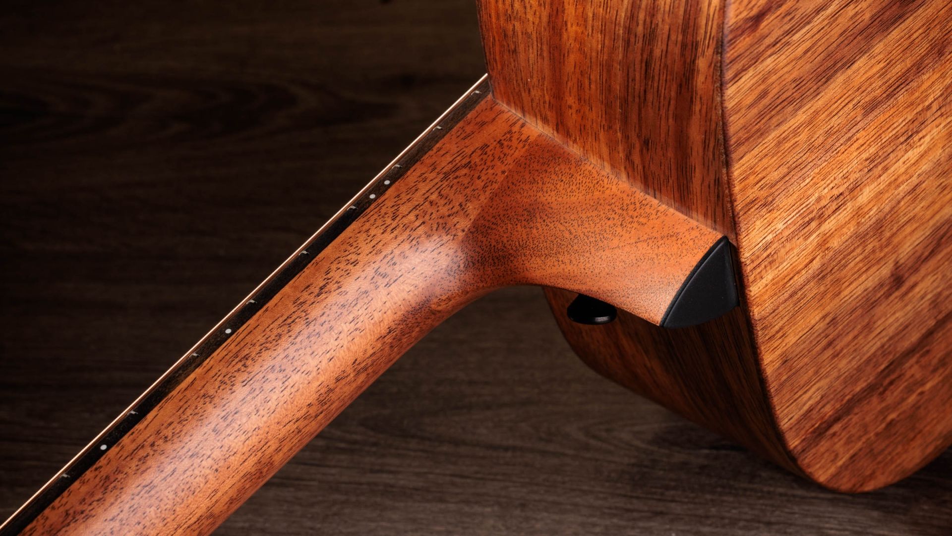 Jacob Collier - Jacob Collier Signature Model 5-String