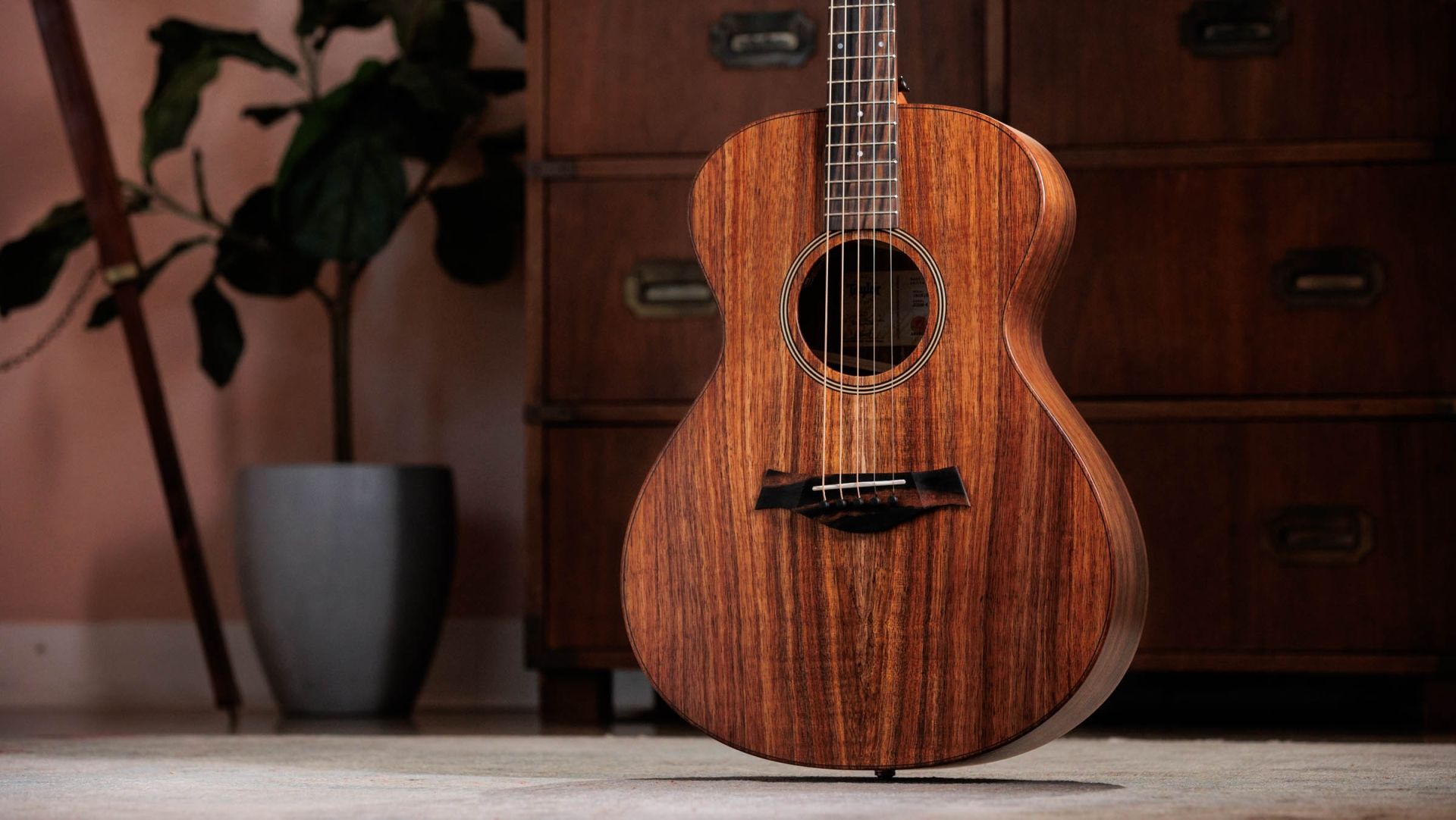 Jacob Collier - Jacob Collier Signature Model 5-String