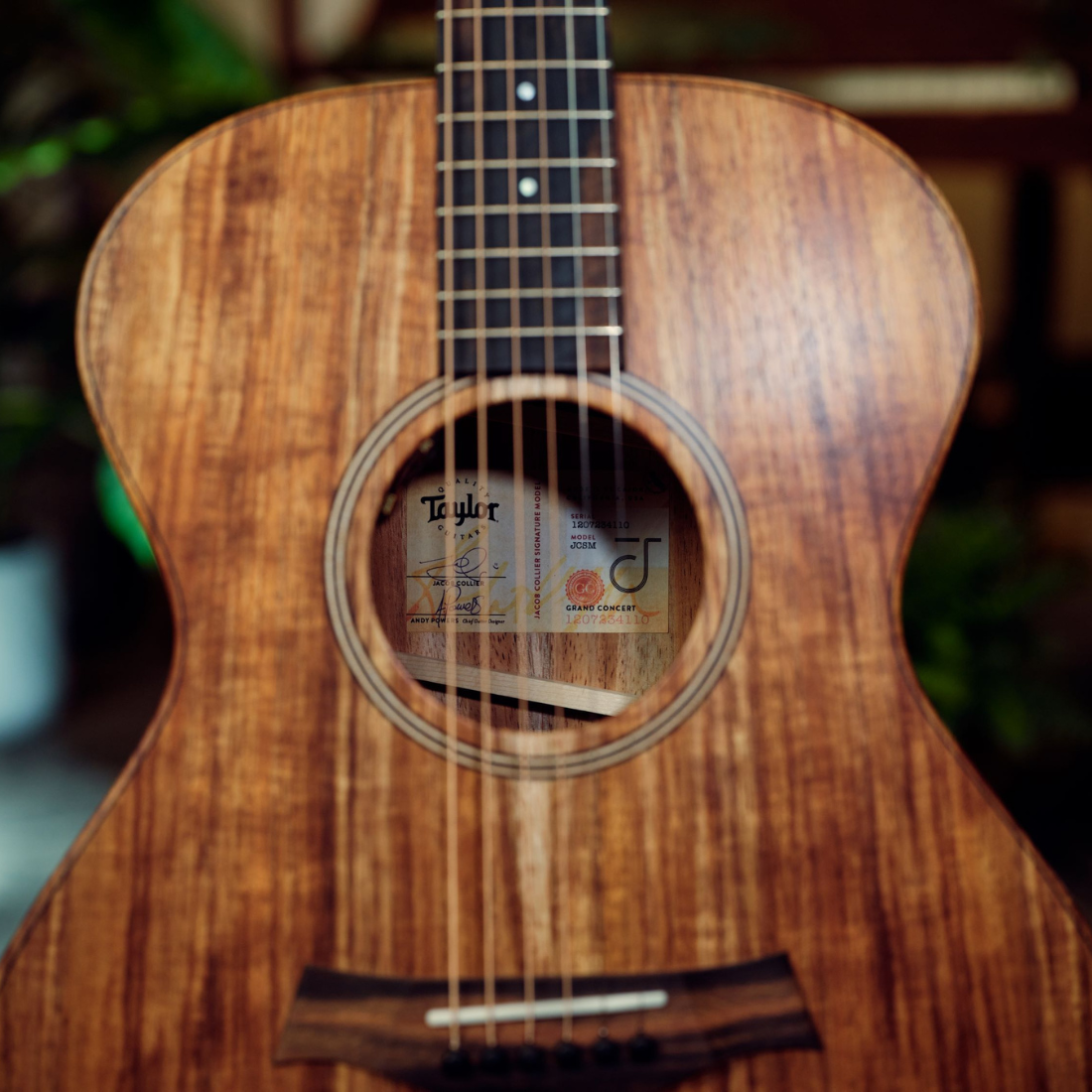 Jacob Collier - Jacob Collier Signature Model 5-String