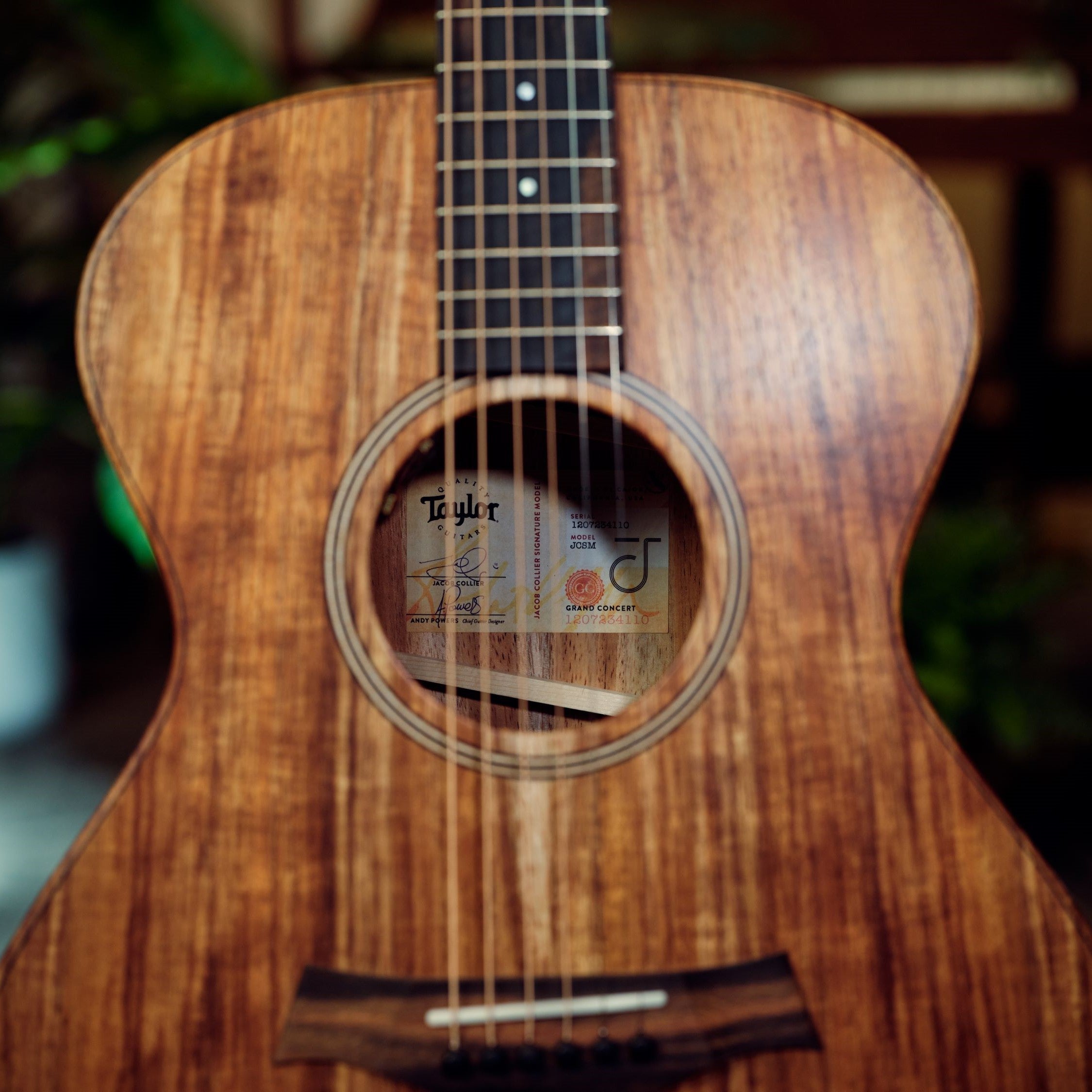 Jacob Collier - Jacob Collier Signature Model 6-String